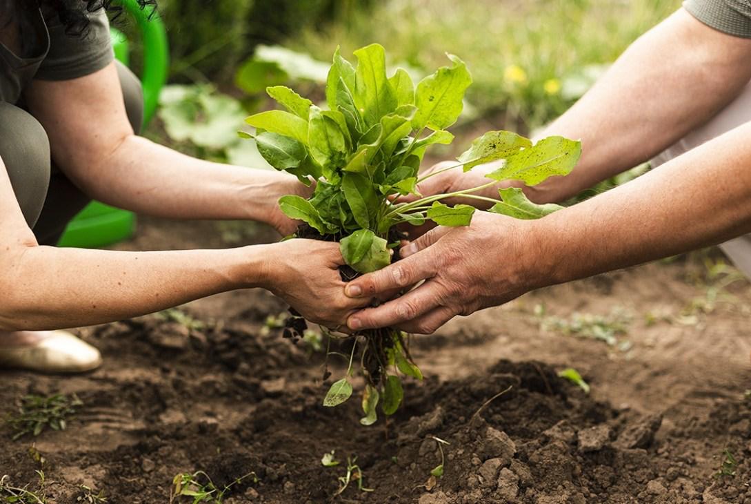 2d4e29be 7933 4511 be8f 5189c5f1257a 48