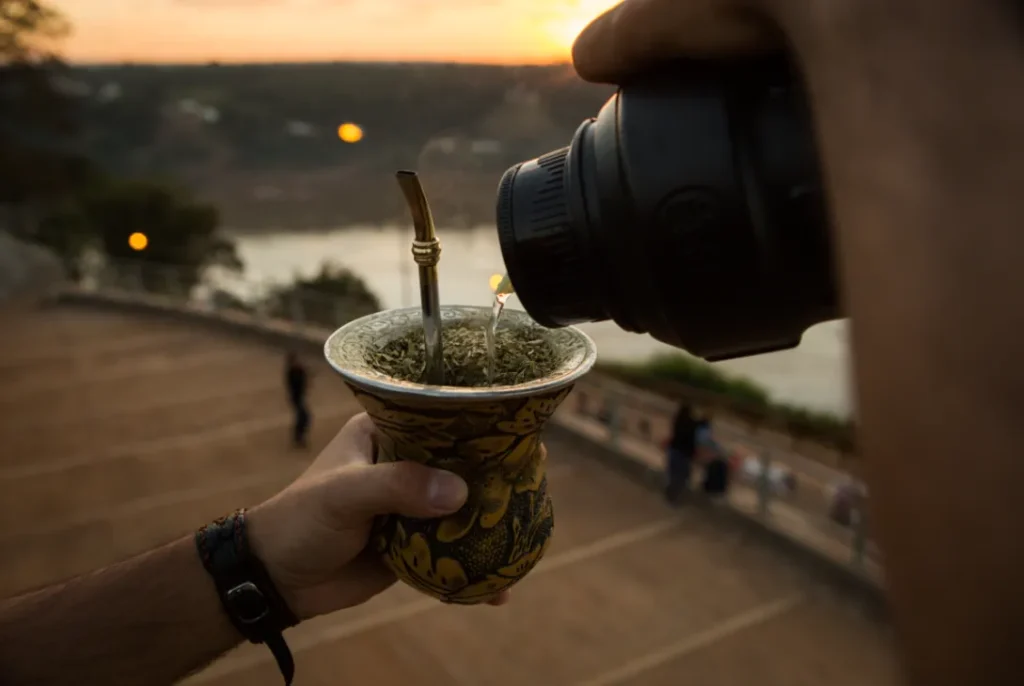 yerba mate