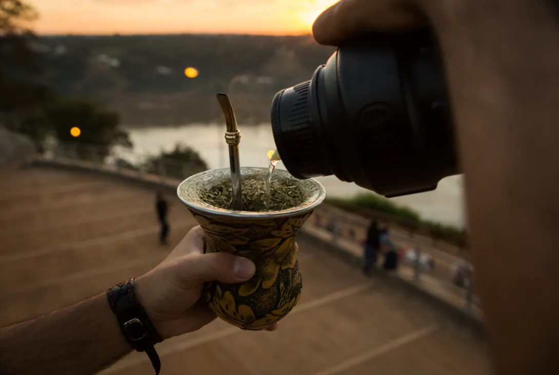 yerba mate