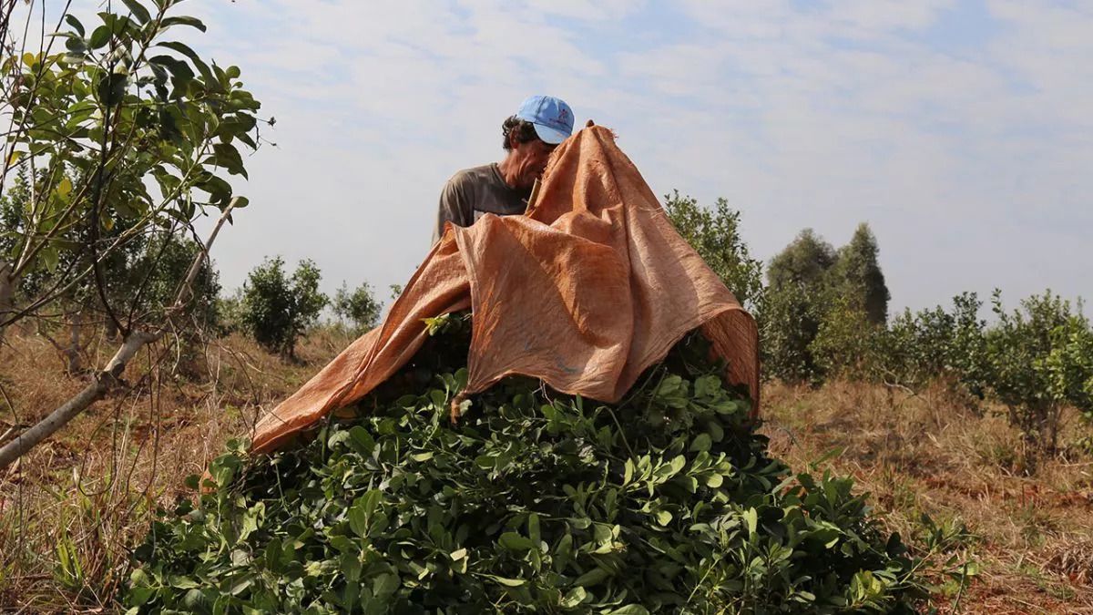 2d4e29be 7933 4511 be8f 5189c5f1257a 7