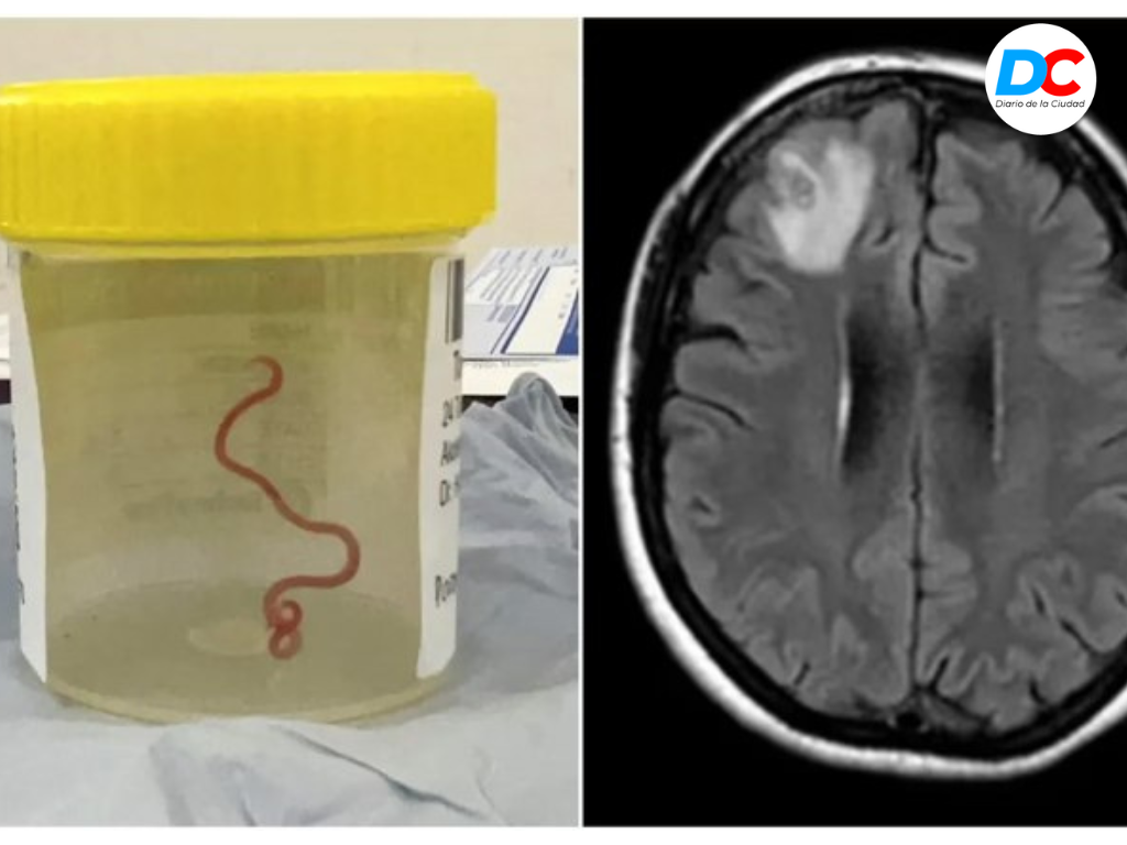 Diseno sin titulo4 4