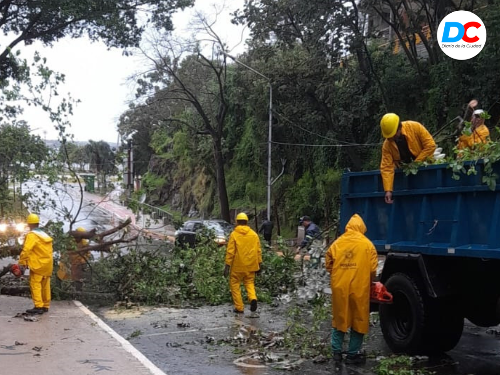 Diseno sin titulo2 1