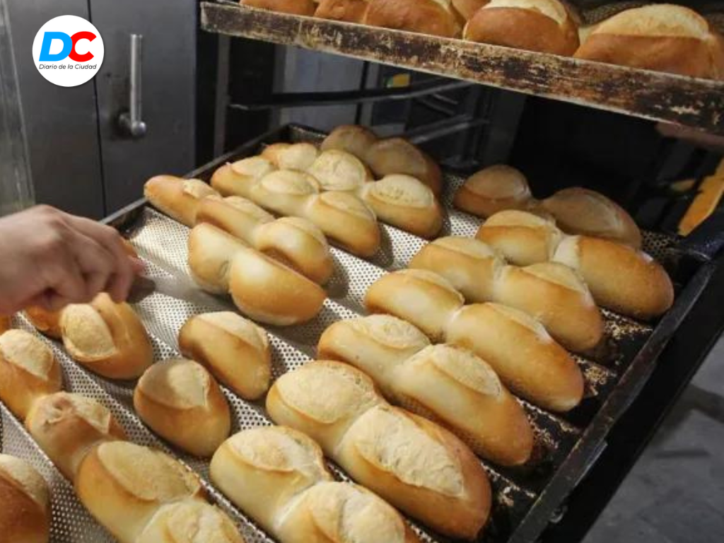 Diseno sin titulo4 1