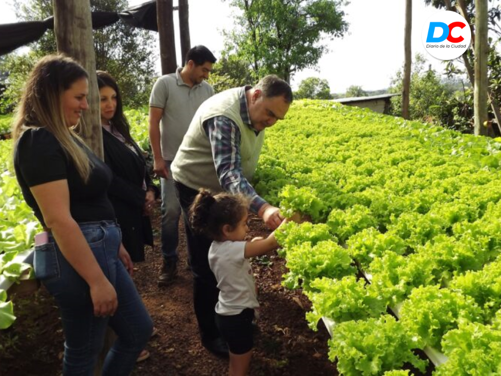 Diseno sin titulo5 3