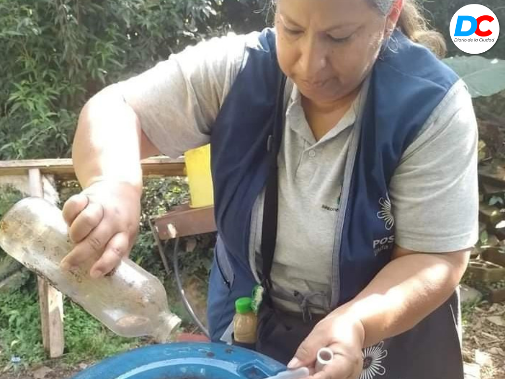 Diseno sin titulo 17