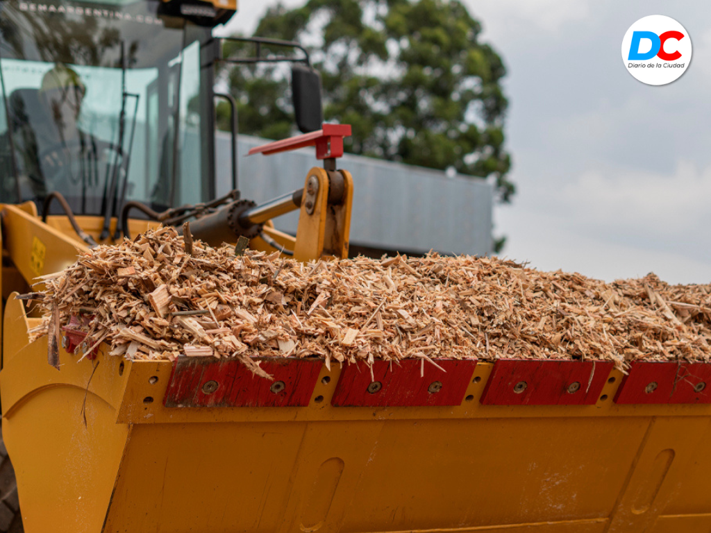 Diseno sin titulo1 12