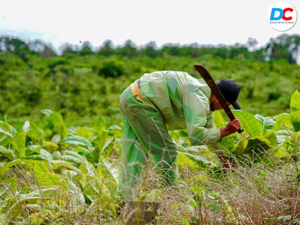 Diseno sin titulo1 19