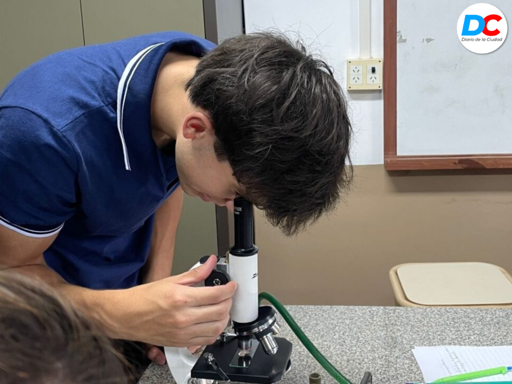 Diseno sin titulo2 17