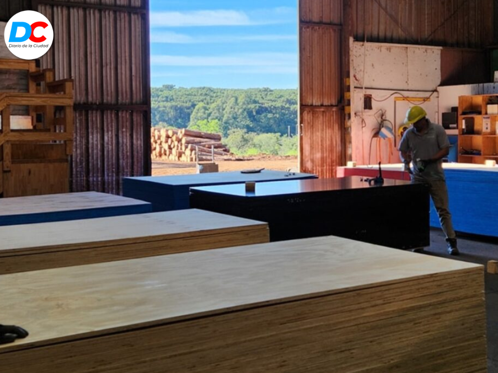 Diseno sin titulo2 19