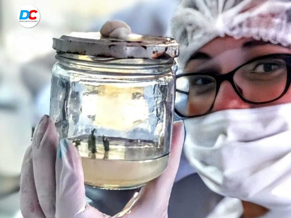 Diseno sin titulo3 4