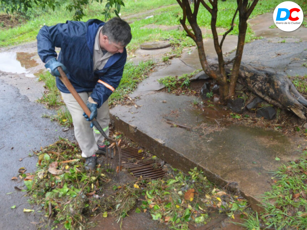 Diseno sin titulo4 16