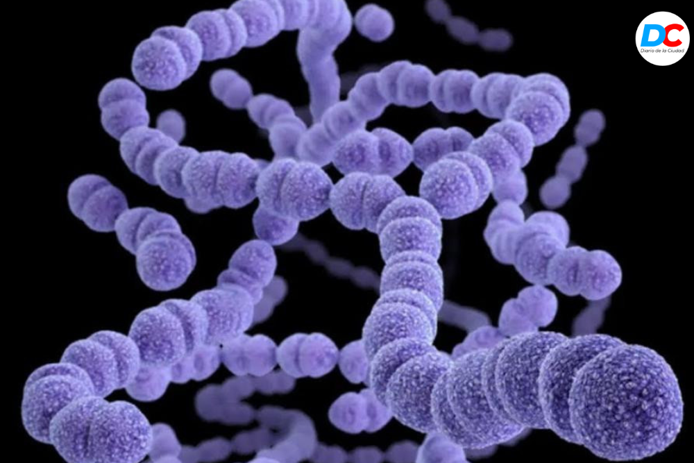 Diseno sin titulo1 4