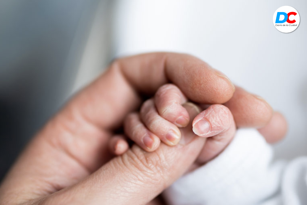 Diseno sin titulo1 7