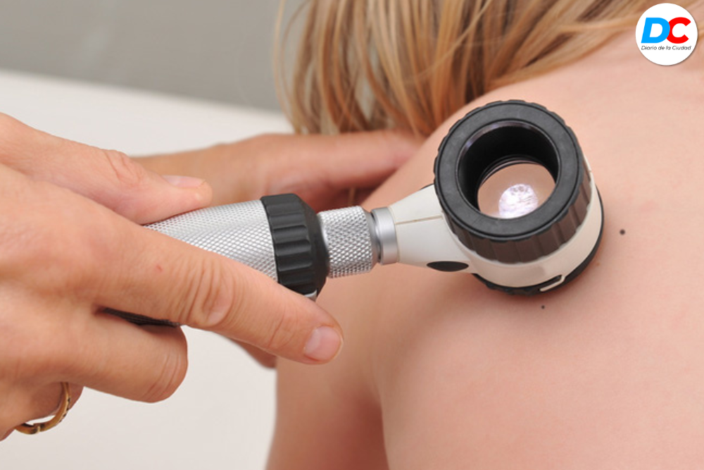 Diseno sin titulo 1 1