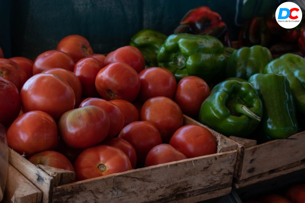 Diseno sin titulo 3 1