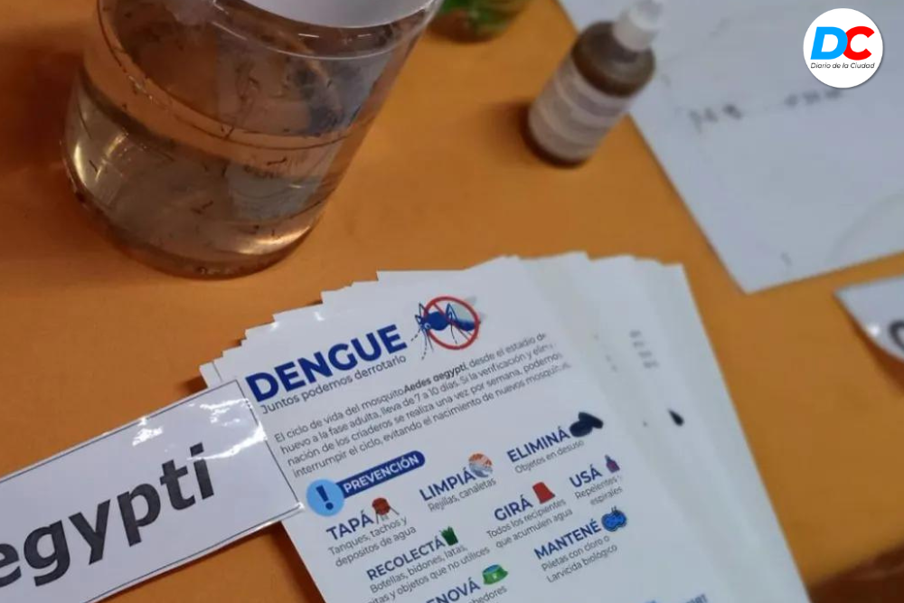 Diseno sin titulo 3 9