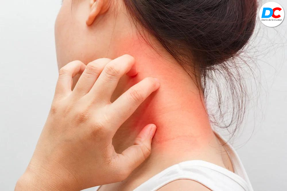 Diseno sin titulo 4 1