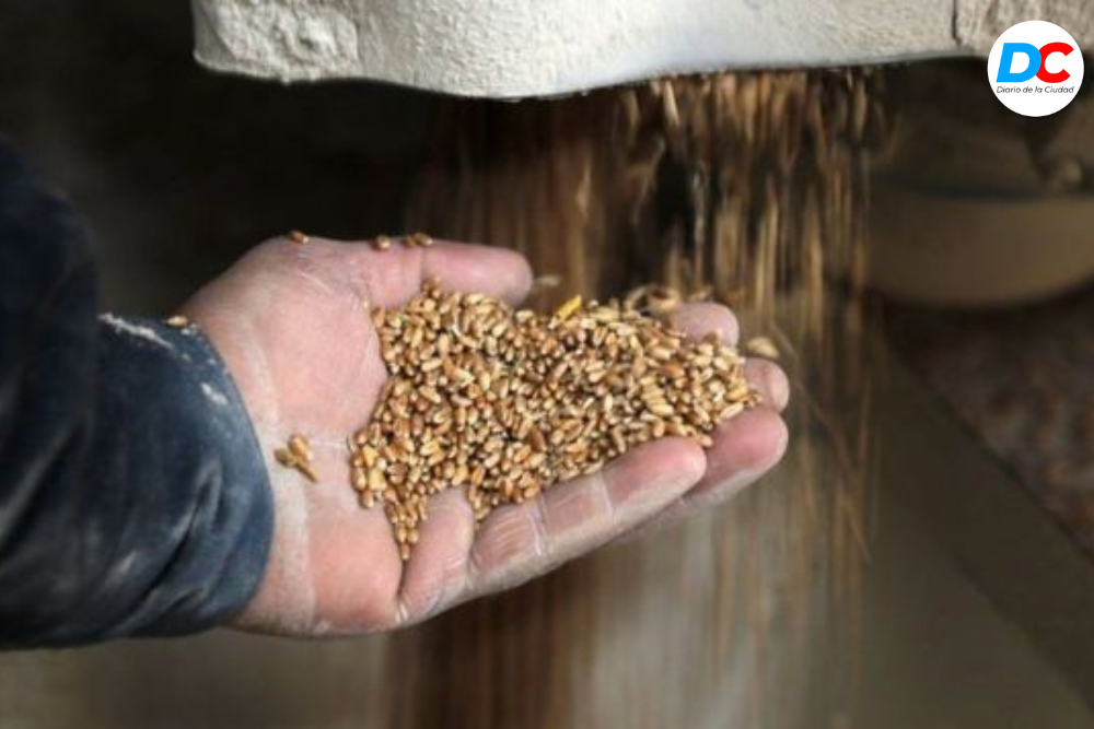 Diseno sin titulo9 3