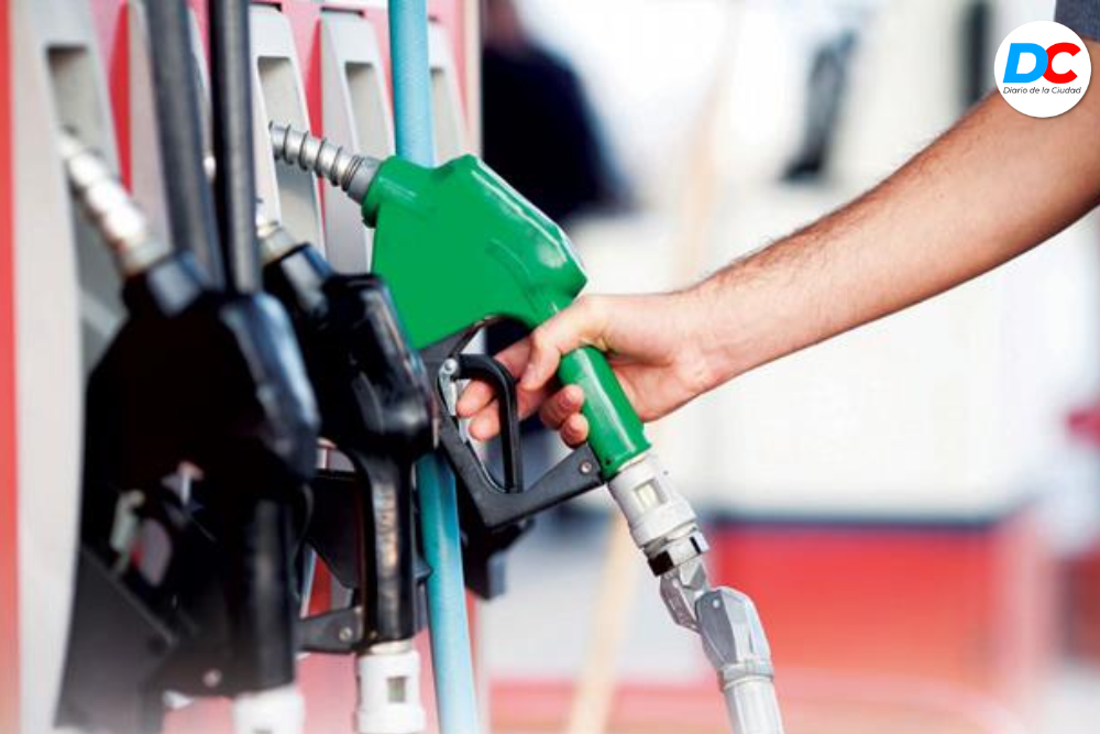 Diseno sin titulo 17