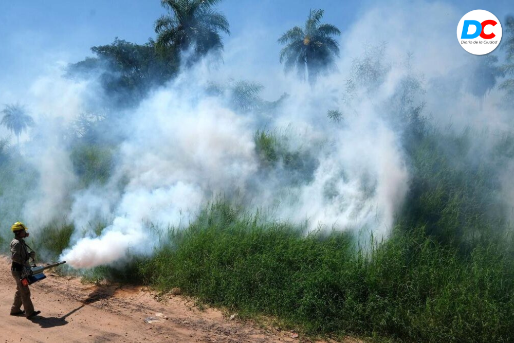 Diseno sin titulo 3 6