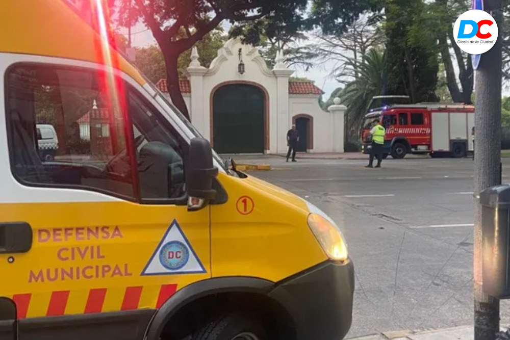 Diseno sin titulo6 1