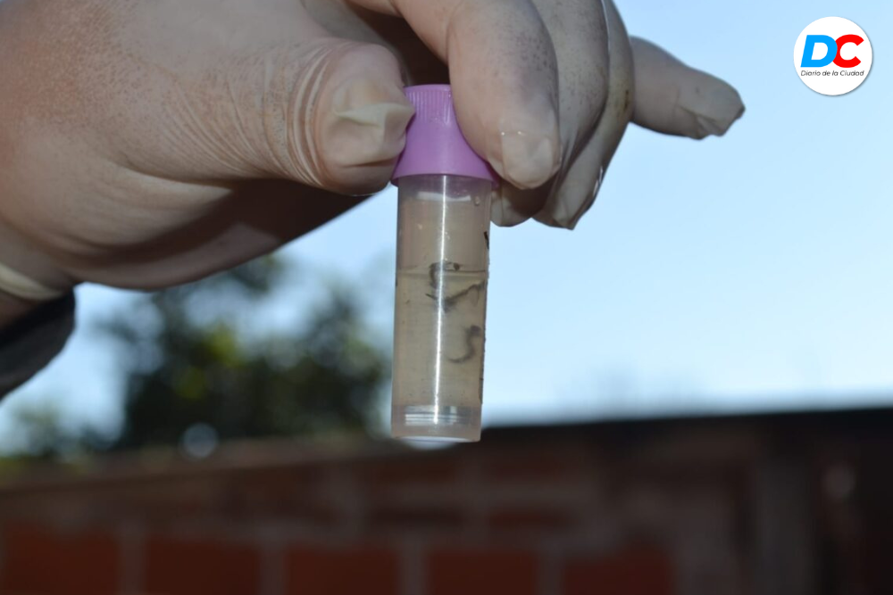 Diseno sin titulo9 3