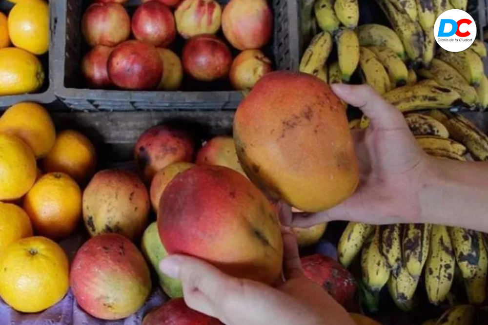 Diseno sin titulo 1 5