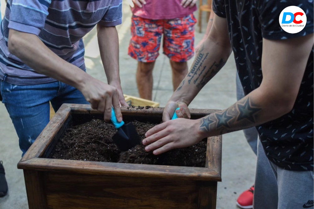 Diseno sin titulo 1 8