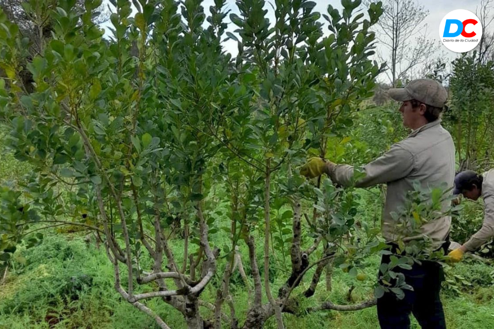 Diseno sin titulo 10