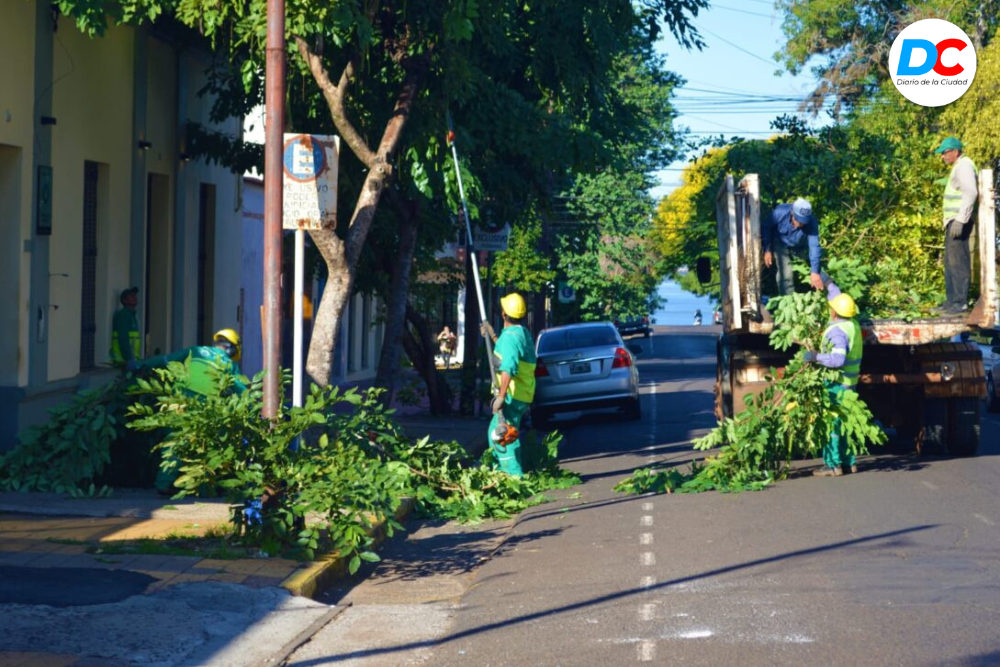 Diseno sin titulo 13