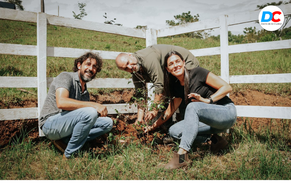 Diseno sin titulo1 4