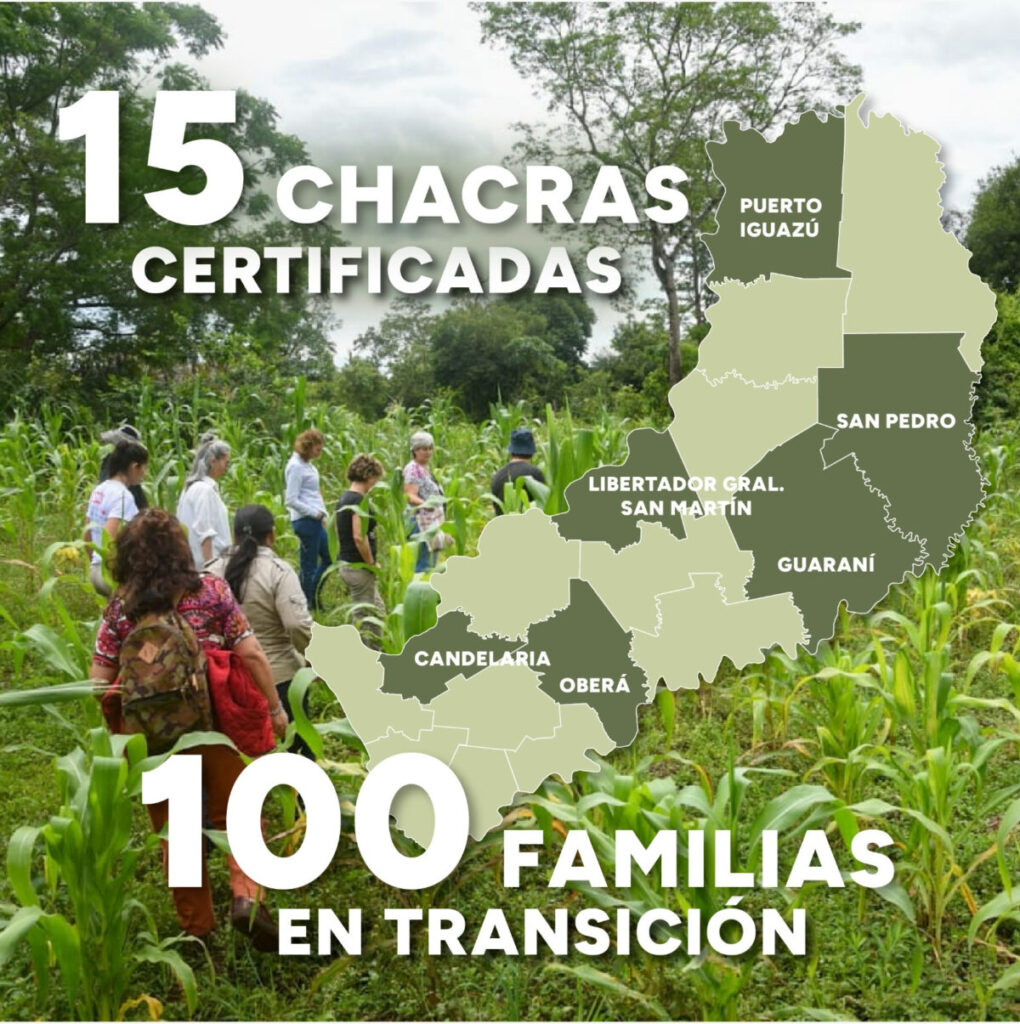 Misiones sigue apostando al desarrollo sostenible con más de 650 hectáreas de chacras agroecológicas 1 1 6