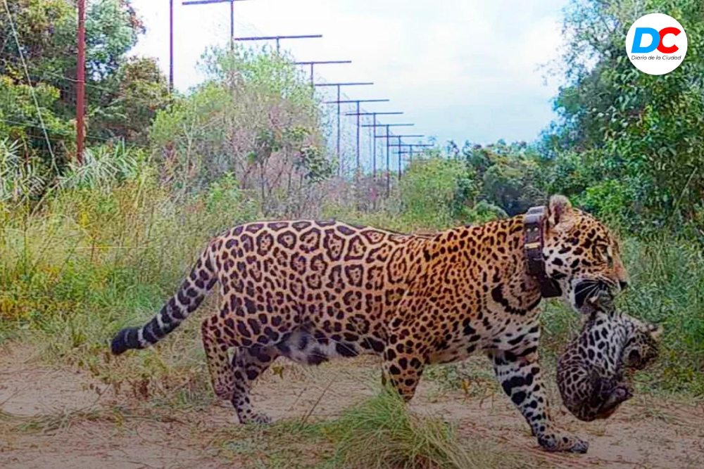 Diseno sin titulo 12