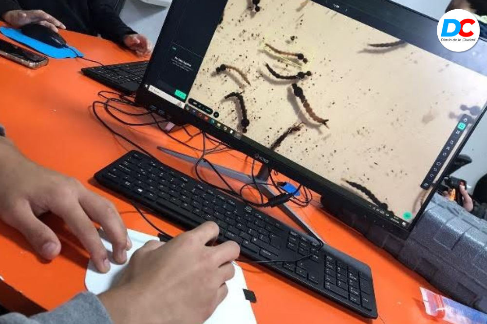 Diseno sin titulo 4 10