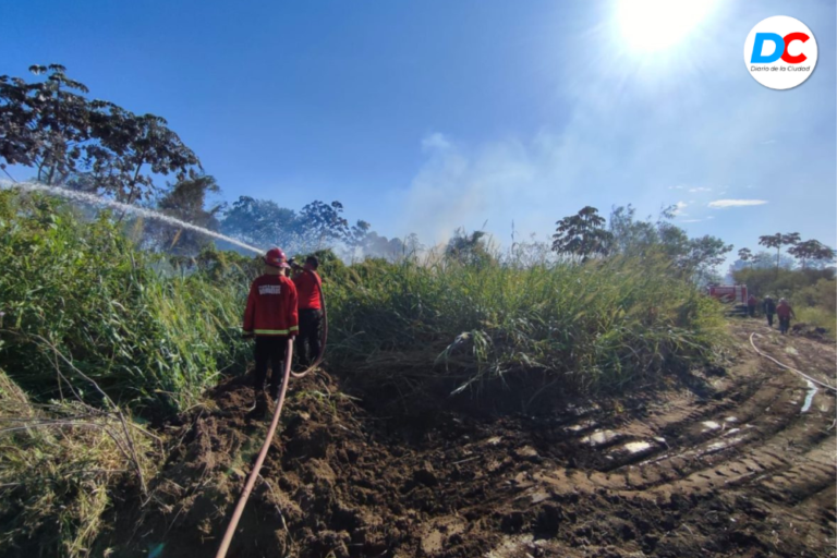 Emergencia ígnea en Misiones: incendios de basura y maleza, las principales demandas de bomberos imagen-5