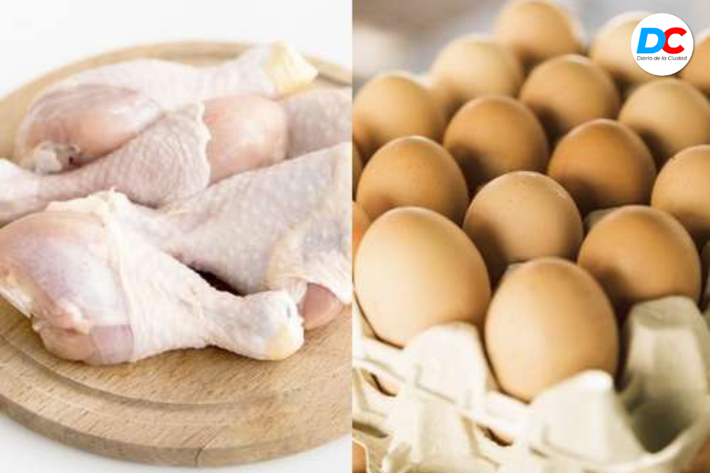 Denuncian ingreso ilegal de pollos y huevos en zonas fronterizas 1 Diseno sin titulo 10