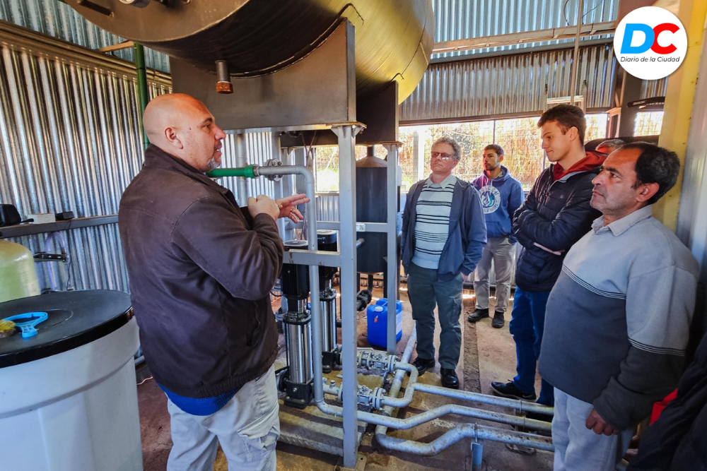 Diseno sin titulo 1 5