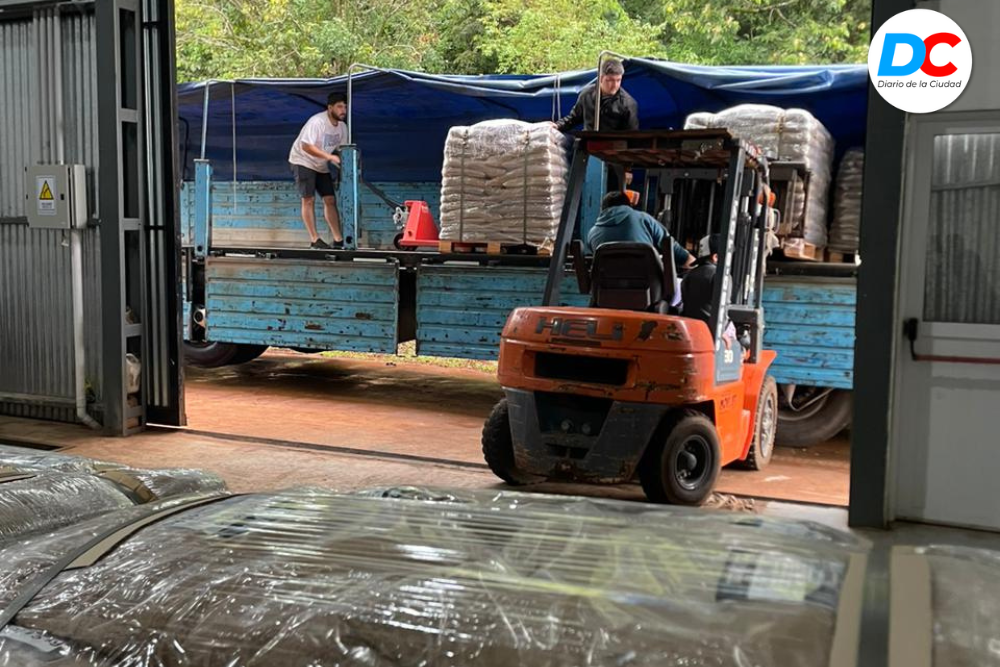 Diseno sin titulo 1 8