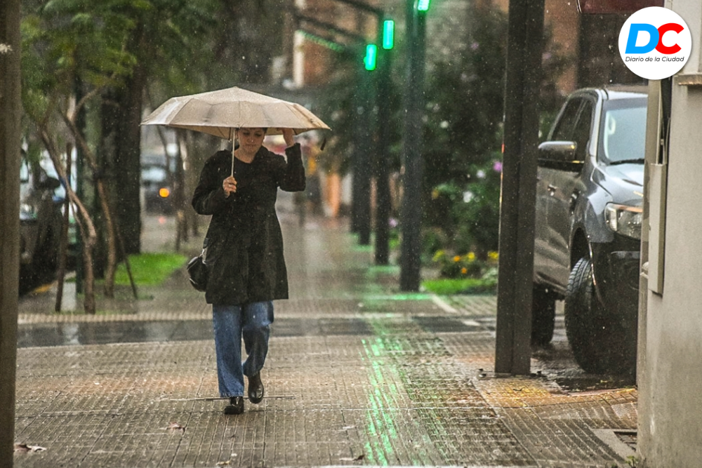 Diseno sin titulo 3 1