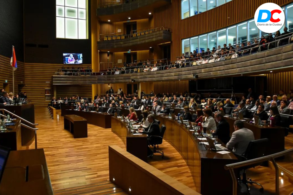 Diseno sin titulo 3 6