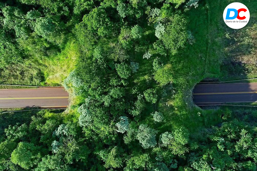 Diseno sin titulo 1 6