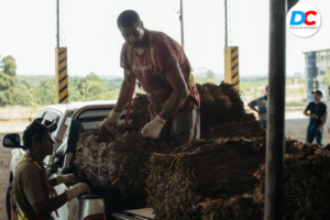 Inicio 28 Diseno sin titulo 1 11