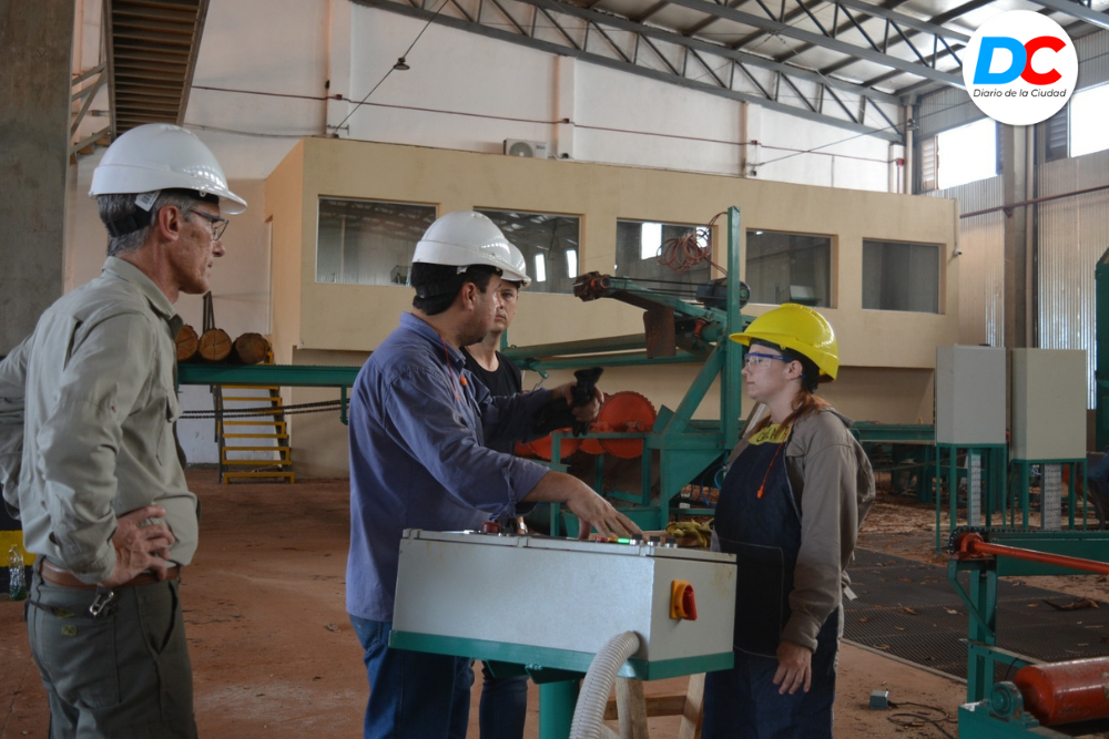 Diseno sin titulo 3 5