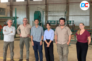 Inicio 25 Diseno sin titulo 1 3