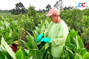 Diseno sin titulo 11