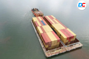 Diseno sin titulo 16