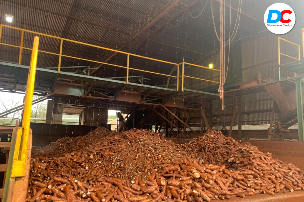 Diseno sin titulo 2 2