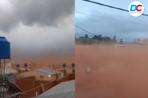 Inicio 24 Diseno sin titulo 2 3