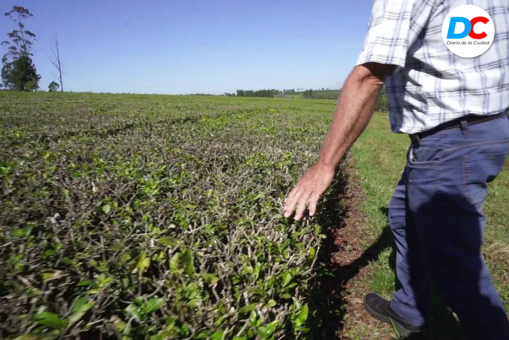 Diseno sin titulo 3 1