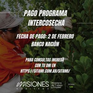 WhatsApp Image 2026 02 03 at 17.15.36